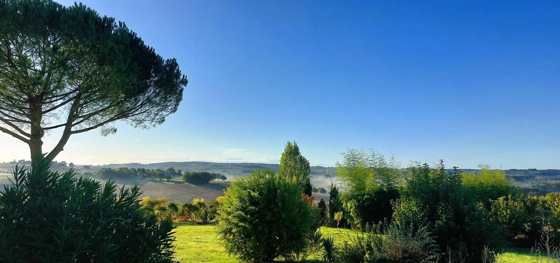 Maison Gasconne, 6 Chambres, Piscine 14X5, Vue Sur Les Vignobles Castelnau-sur-lʼAuvignon 0*,